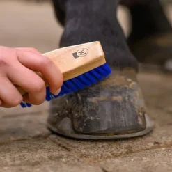 Brosse à sabot cheval - Waldhausen