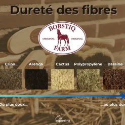 Brosse cheval polypropylène Infini - Borstiq