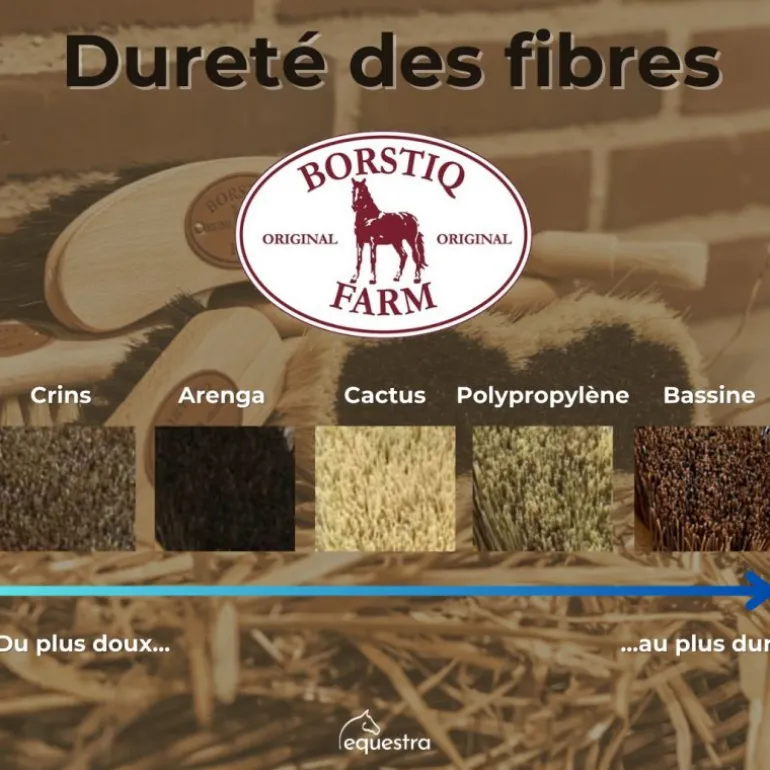 Brosse cheval Unionmix bois de hêtre Petit Modèle - Borstiq