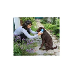 Brosse chien Magic Brush