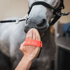 Brosse douce cheval - GEM Equitation