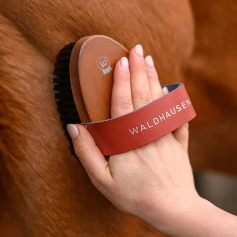 Brosse douce cheval poils courts Hard Wood - Waldhausen
