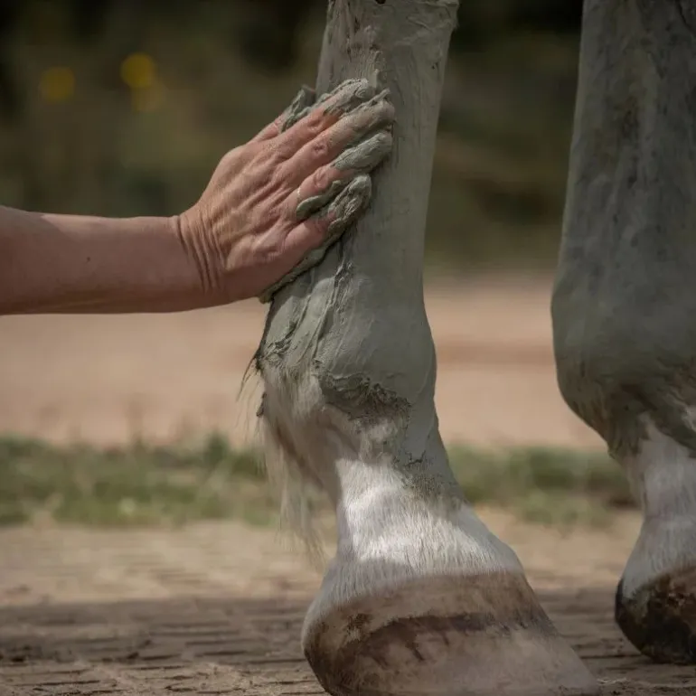 Cataplasme d'argile cheval Drainage & Détox - Nellumbo