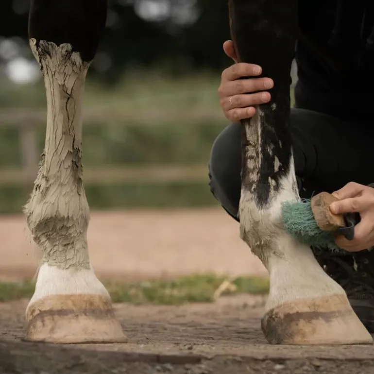 Cataplasme d'argile cheval Drainage & Détox - Nellumbo