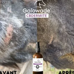 CBDERMITE Huile apaisante démangeaisons cheval 10% - Galowade