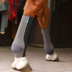 Chaussette de compression cheval Fit Silver - Equicrown
