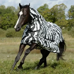 Chemise anti-dermite cheval Sweet Itch Zebra - Bucas