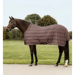 Chemise anti-mouche cheval Economic - Waldhausen