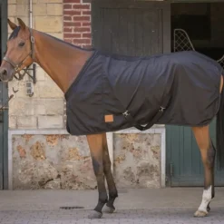 Chemise écurie cheval Light Mesh - Paddock Sports