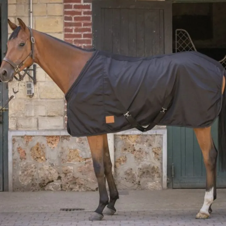 Chemise écurie cheval Light Mesh - Paddock Sports
