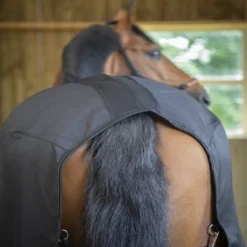 Chemise écurie cheval Light Mesh - Paddock Sports