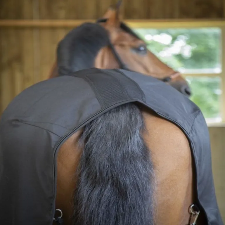 Chemise écurie cheval Light Mesh - Paddock Sports