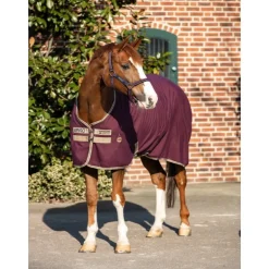 Chemise écurie transport cheval Amigo Stable - Horseware