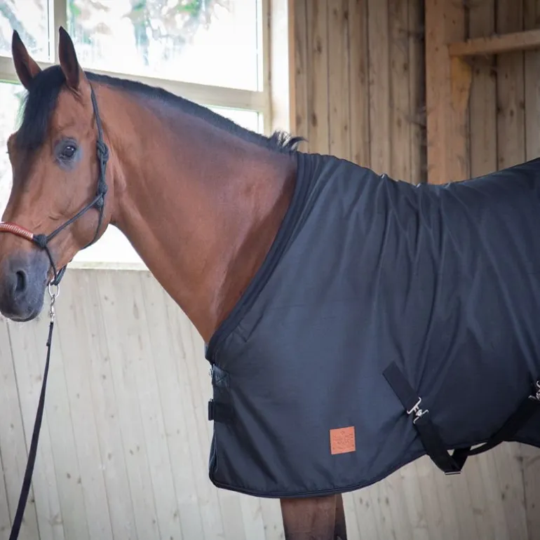 Chemise d'écurie cheval Ripstop - Paddock Sports