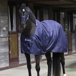 Chemise de box cheval 0g - Bucas