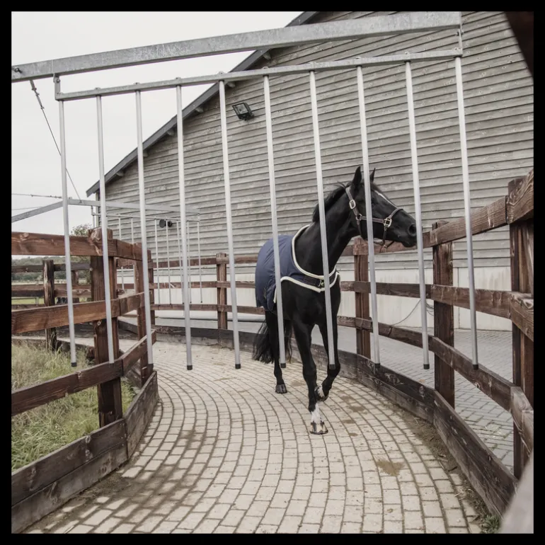 Chemise de marcheur cheval imperméable - Kentucky