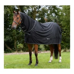 Chemise de transport séchante cheval avec couvre-cou Shamrock Power - Bucas