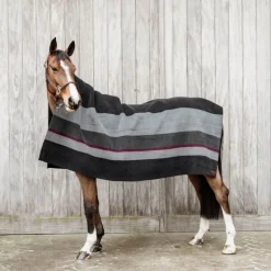 Chemise séchante cheval Heavy Stripes - Kentucky