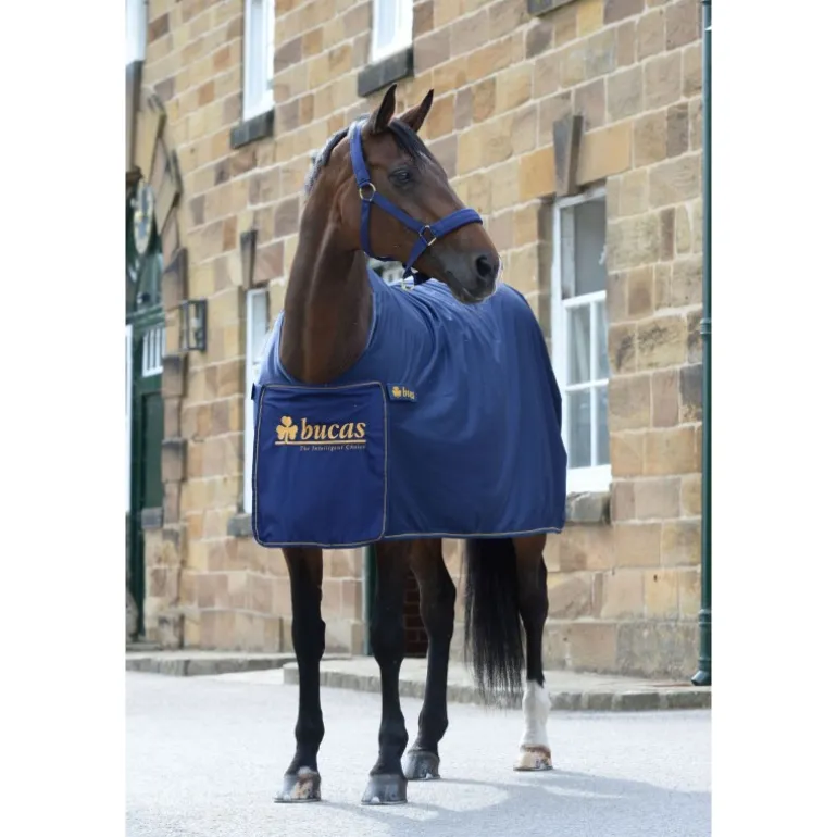 Chemise séchante Panel (avec logo) - Bucas