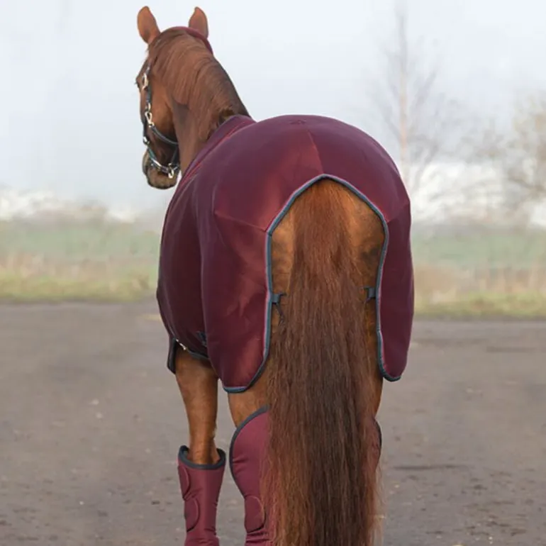 Chemise séchante Rambo Airmax Cooler disc - Horseware