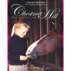 Chestnut Hill Tome 3 : Une coeur d'or - Pocket Jeunesse