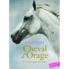 Cheval d'orage Tome 1 - Gallimard