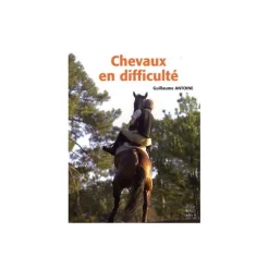 Chevaux en difficulté - Belin