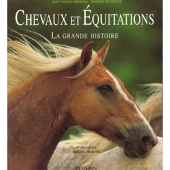 Chevaux et équitations La grande histoire - Nathan