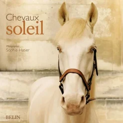 Chevaux Soleil - Belin