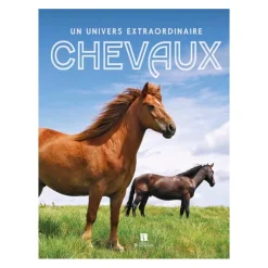 Chevaux un univers extraordinaire