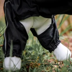 Ciré de pluie pour chien Manchester