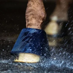 Cloches hydratantes cheval Health + Care Water - Waldhausen