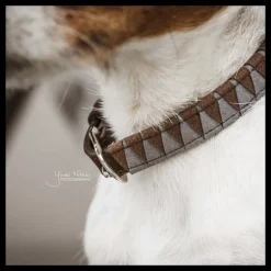Collier chien motif triangle - Kentucky Dogwear