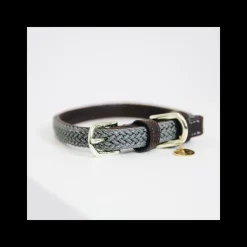 Collier chien nylon tressé - Kentucky