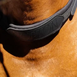 Collier de monte à cru cheval