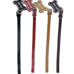 Collier en cuir pour chien