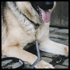 Collier pour chien Loop - Kentucky Dogwear