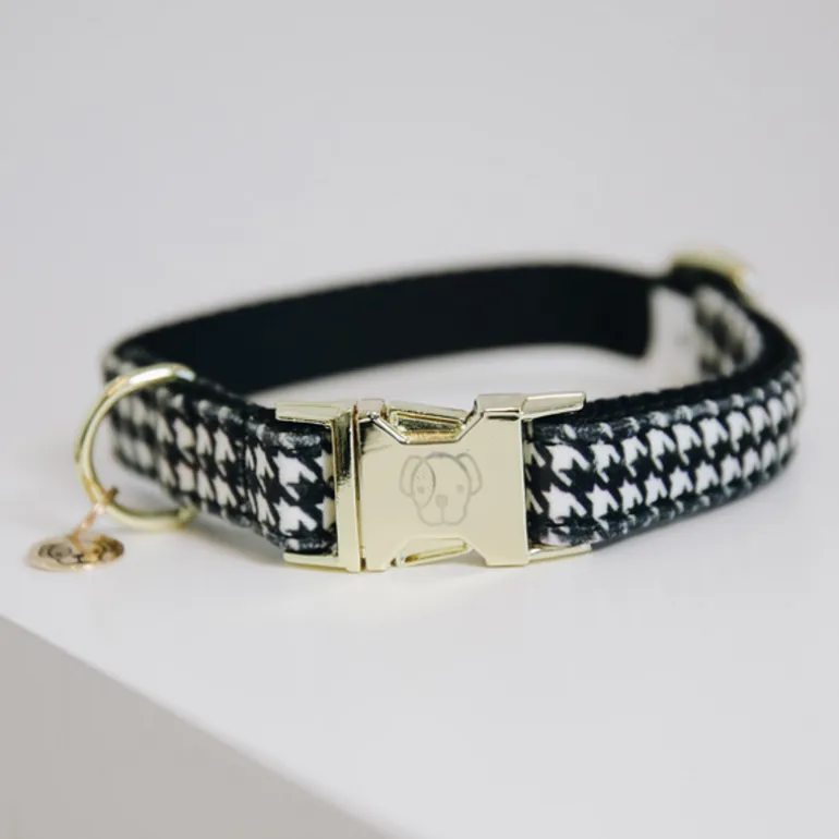 Collier pour chien Pied-de-poule - Kentucky Dogwear