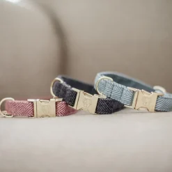 Collier pour chien Wool - Kentucky Dogwear