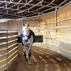 Couverture cheval 2 en 1 écurie et marcheur Halifax 200gr - Kavalkade