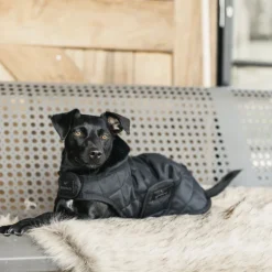 Couverture chien 160 g - Kentucky Dogwear