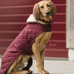 Couverture chien 160 g - Kentucky Dogwear