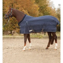 Couverture écurie cheval 200 g Comfort - Waldhausen