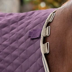 Couverture écurie cheval avec couvre cou Amigo Stable Plus 200 g- Horseware