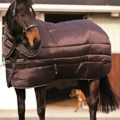 Couverture écurie cheval avec couvre-cou 550 g Amigo Insulator Plus - Horseware