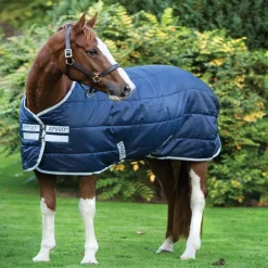 Couverture de box Amigo Insulator 200gr - Horseware