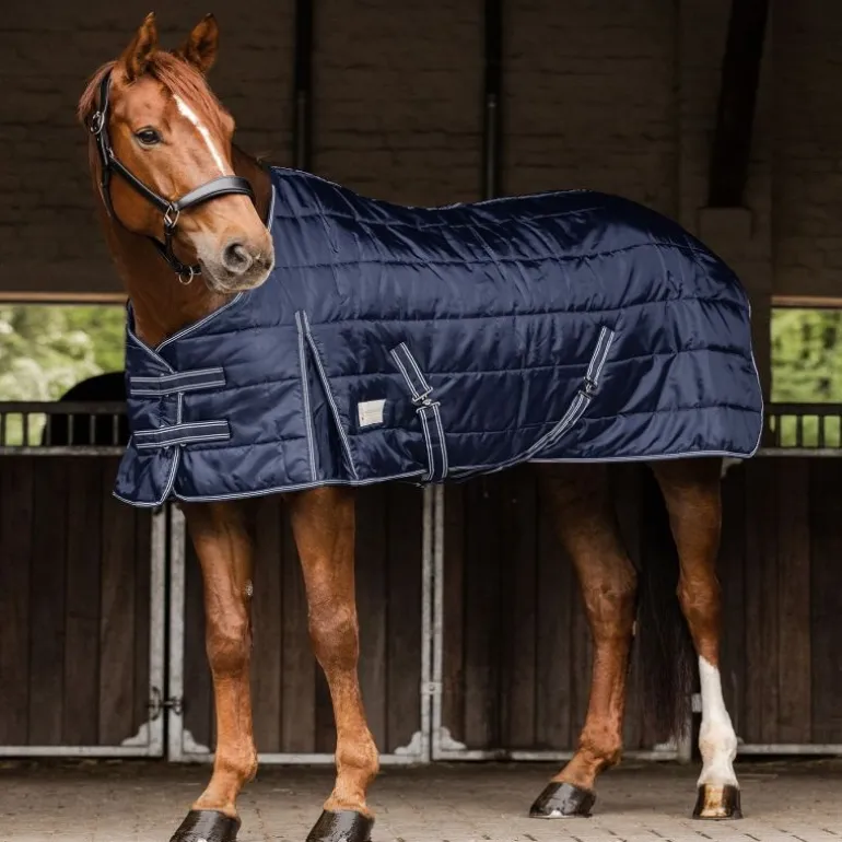 Couverture de box cheval Economic 200g - Waldhausen