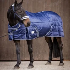 Couverture de box cheval Economic 100g - Waldhausen