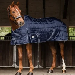 Couverture de box cheval Economic 300g - Waldhausen