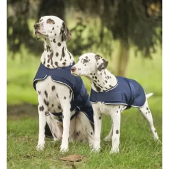 Couverture de pluie chien - Waldhausen